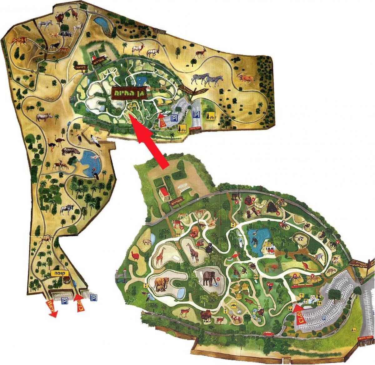 Plan du parc zoologique de Tel Aviv
